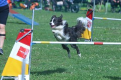20230702img_0233