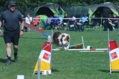 20230702img_0269