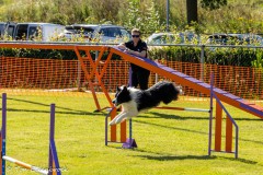 Agiity_wedstrijd_AKC-1033