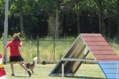 IMG_0076