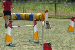 IMG_0078
