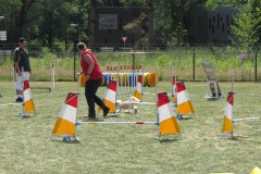 IMG_0085