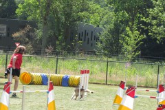 IMG_0131