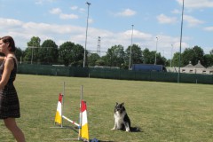 IMG_0141