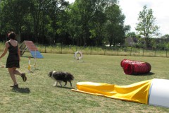IMG_0142