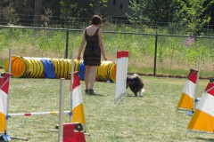 IMG_0147