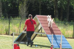 IMG_0155