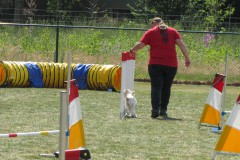 IMG_0157