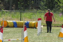 IMG_0158