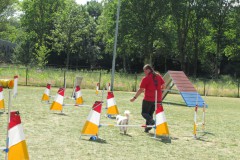 IMG_0162