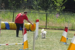 IMG_0166