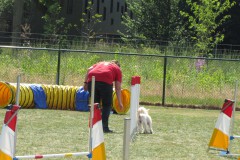IMG_0167