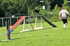 20260620_090021