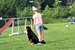 20260620_090450