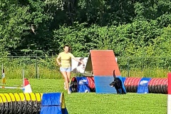 20260620_091754