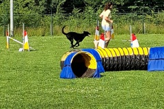 20260620_091801