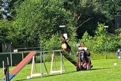 20260620_092032