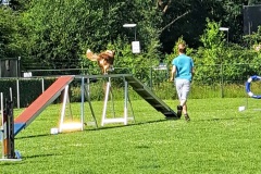 20260620_092626